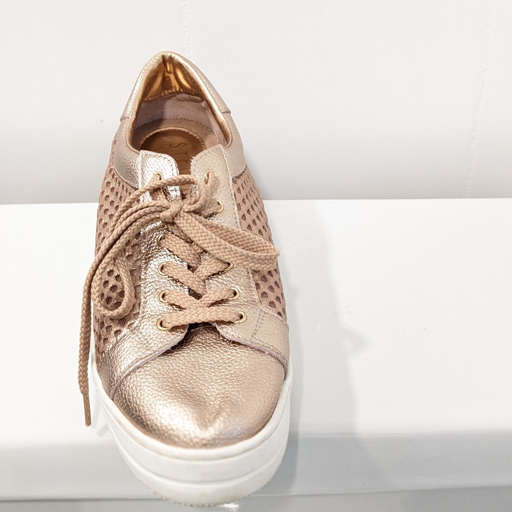 Steve Madden leather nappa sneakers - Picture 11 of 16